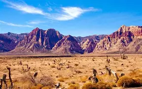 Mojave Desert