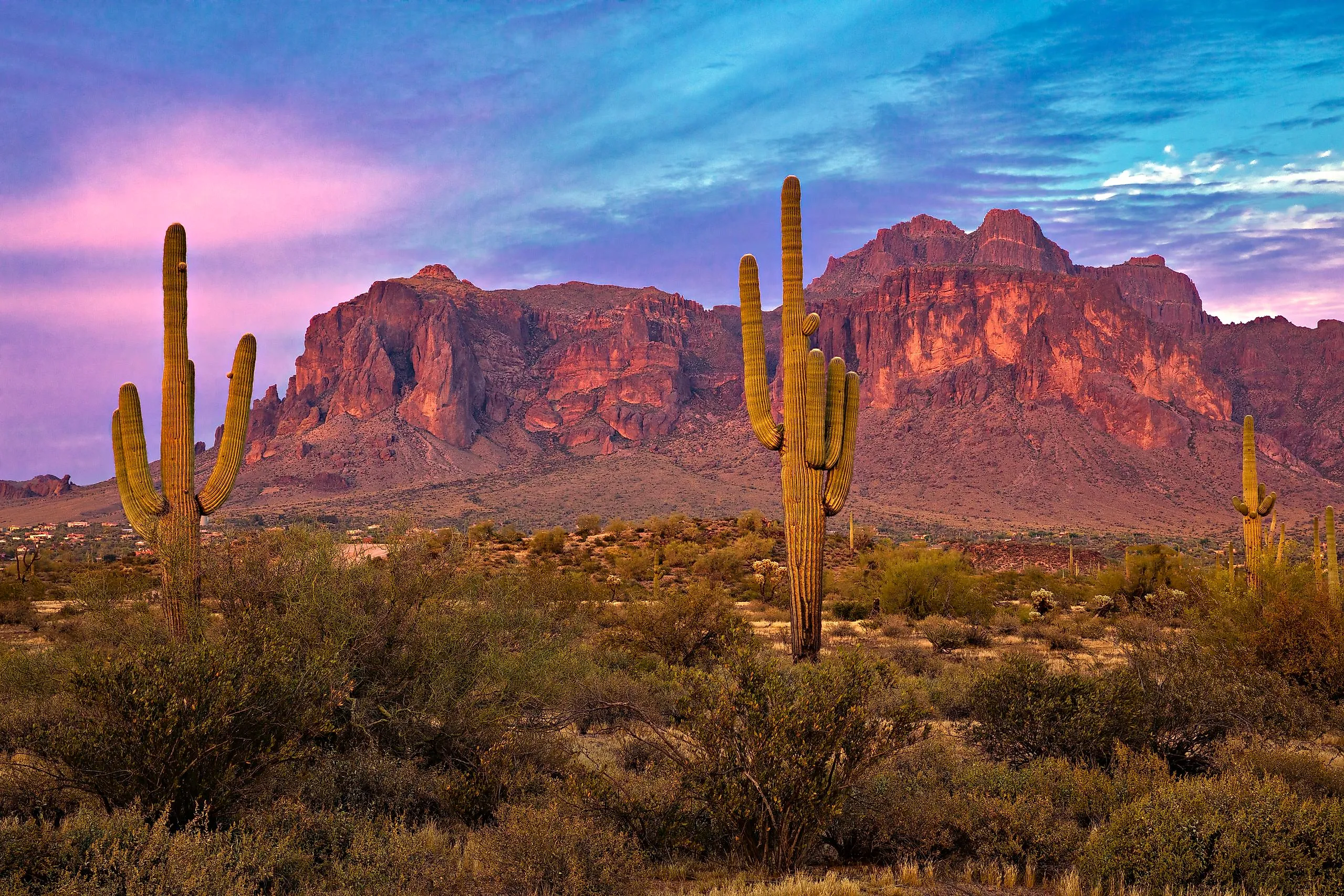 Sonoran Desert