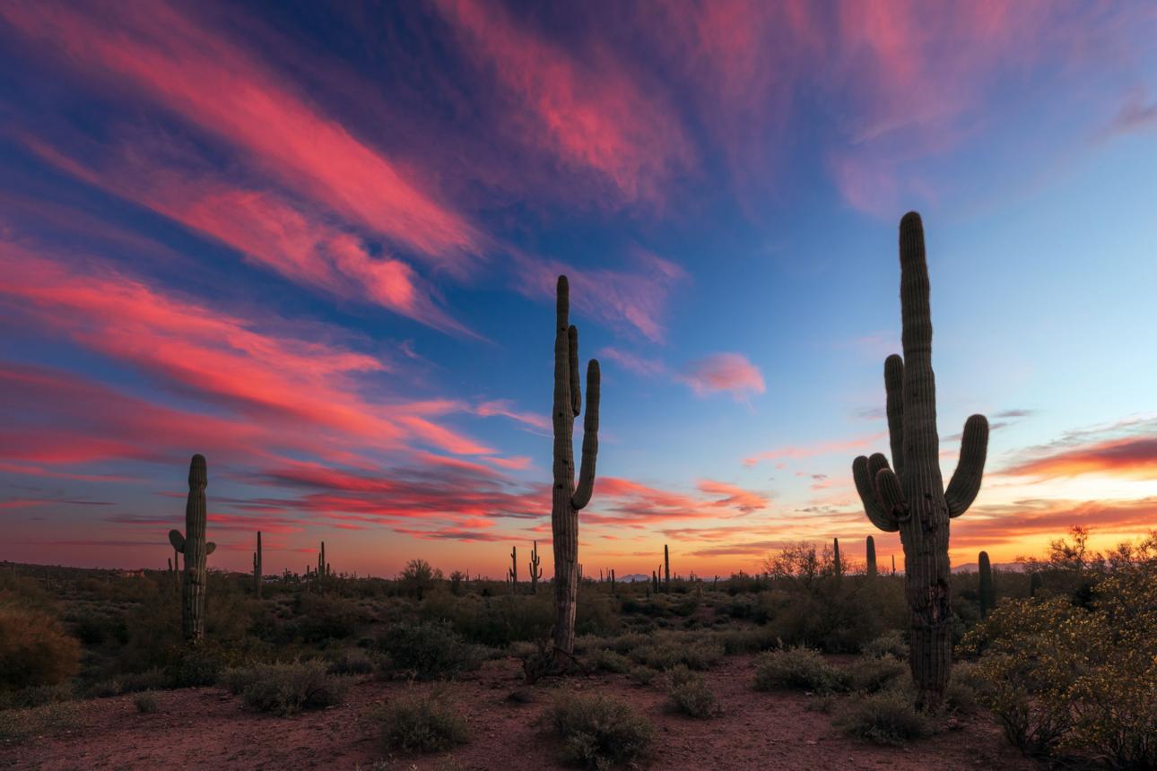 Sunset over the desert