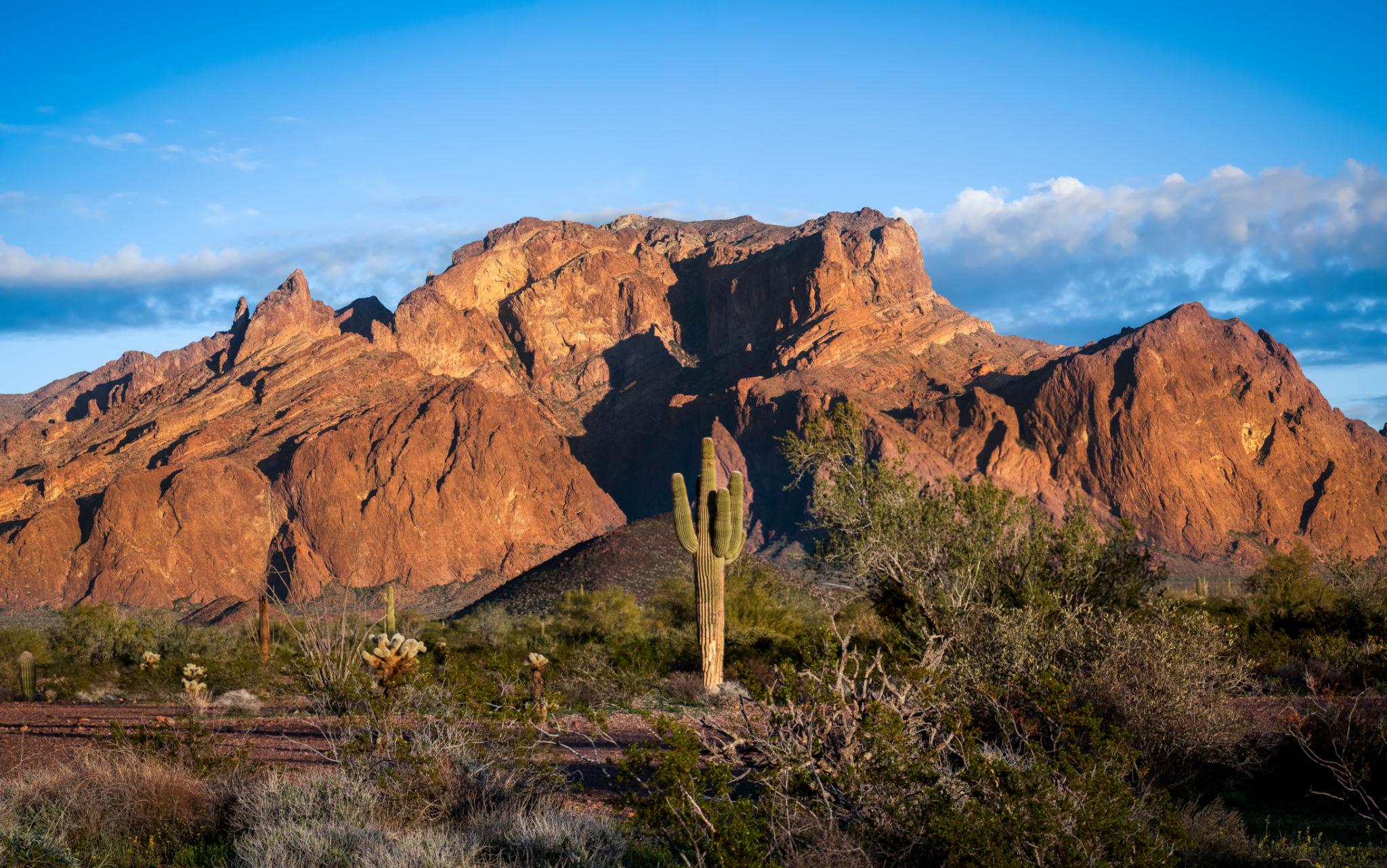 Kofa landscape